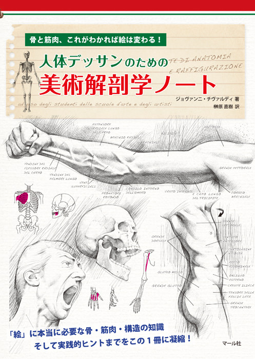 マール社　人体デッサンのための　美術解剖学ノート