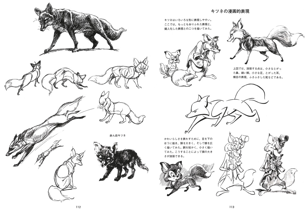 動物画の描き方 マール社