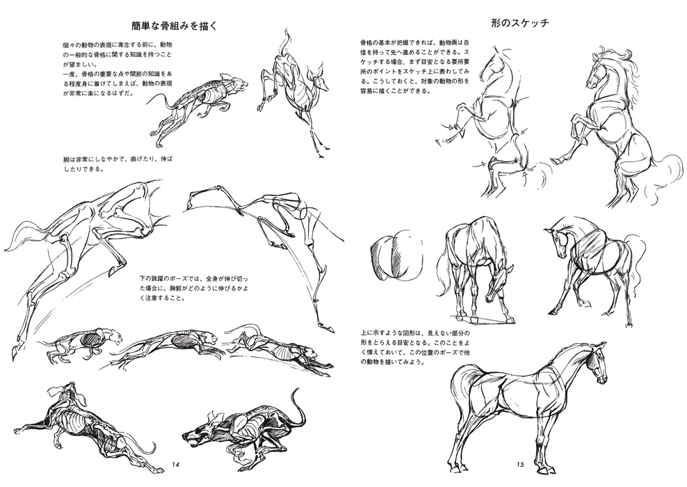 動物画の描き方 マール社