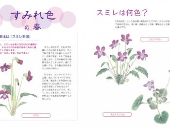 はるいろ マール社