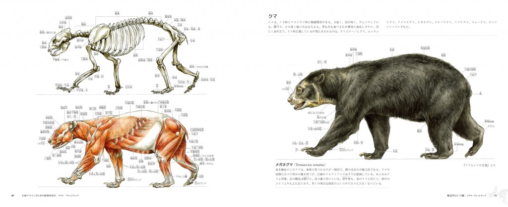 幻獣デザインのための動物解剖学 マール社