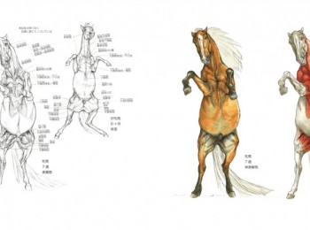 幻獣デザインのための動物解剖学 マール社