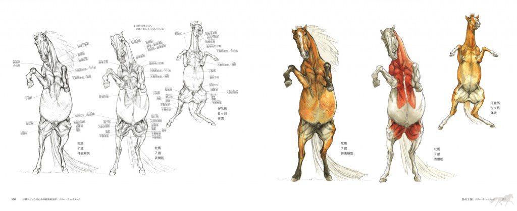 幻獣デザインのための動物解剖学 マール社