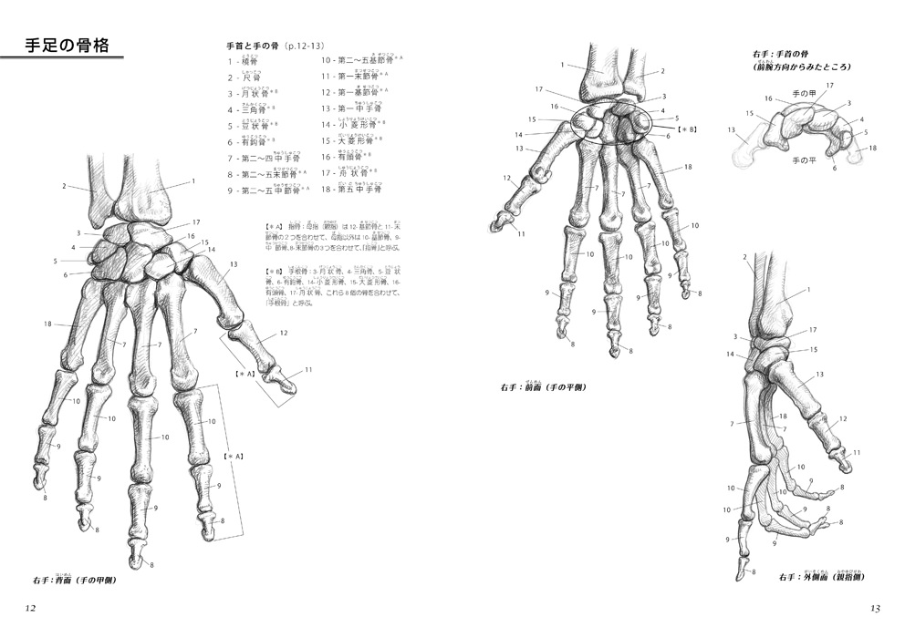 手と足の描き方 マール社