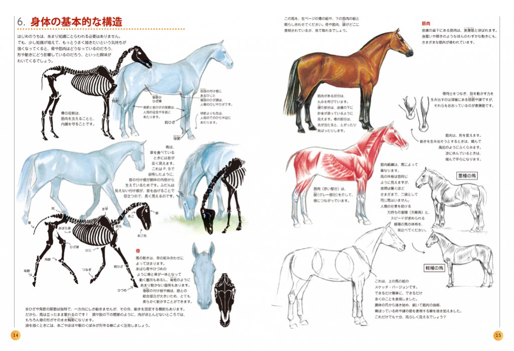 ｈｏｒｓｅ やさしい馬の描き方 マール社