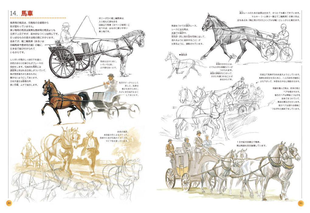 ｈｏｒｓｅ やさしい馬の描き方 マール社