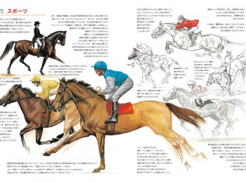 ｈｏｒｓｅ やさしい馬の描き方 マール社