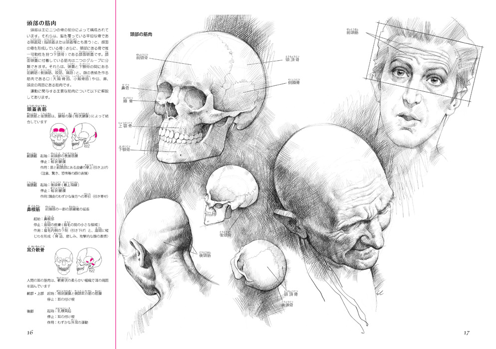 人体デッサンのための 美術解剖学ノート マール社