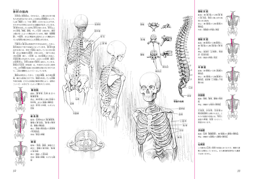 人体デッサンのための 美術解剖学ノート