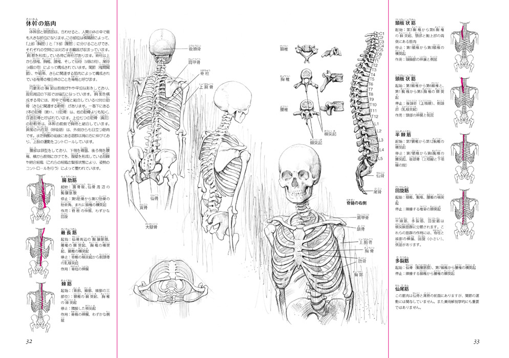 人体デッサンのための 美術解剖学ノート マール社