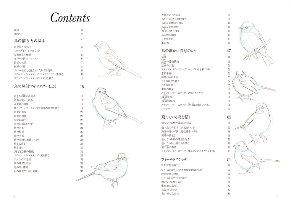 鳥の描き方マスターブック マール社