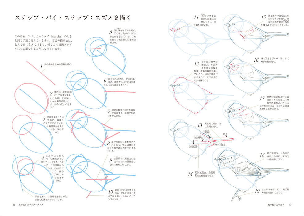 鳥の描き方マスターブック マール社