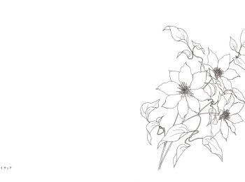 花のぬりえ帖 樹に咲く花 マール社