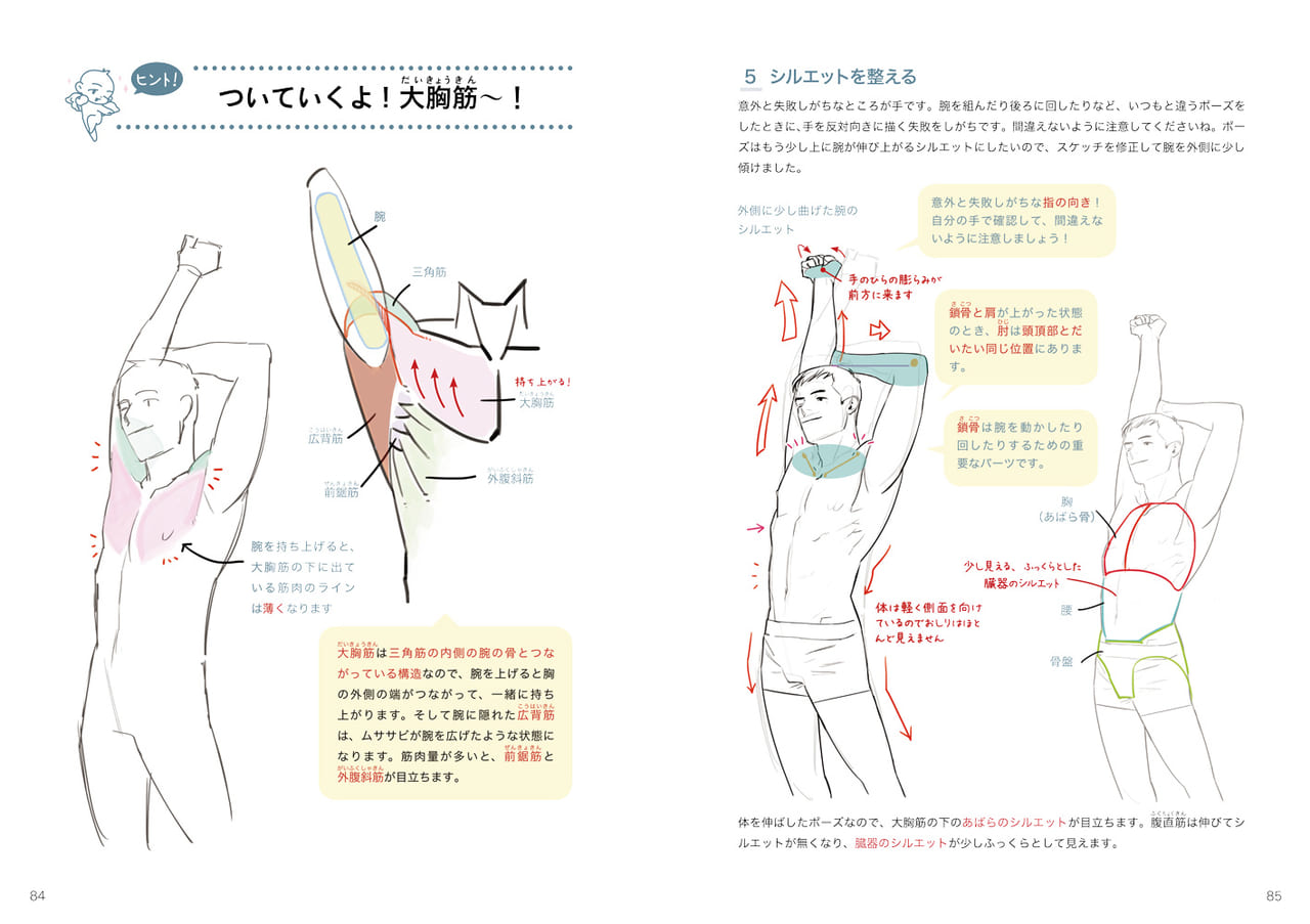 ハンサムボディの描き方 マール社