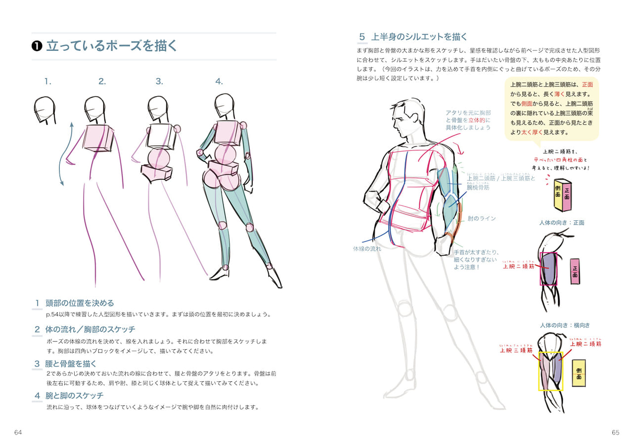 ハンサムボディの描き方 マール社