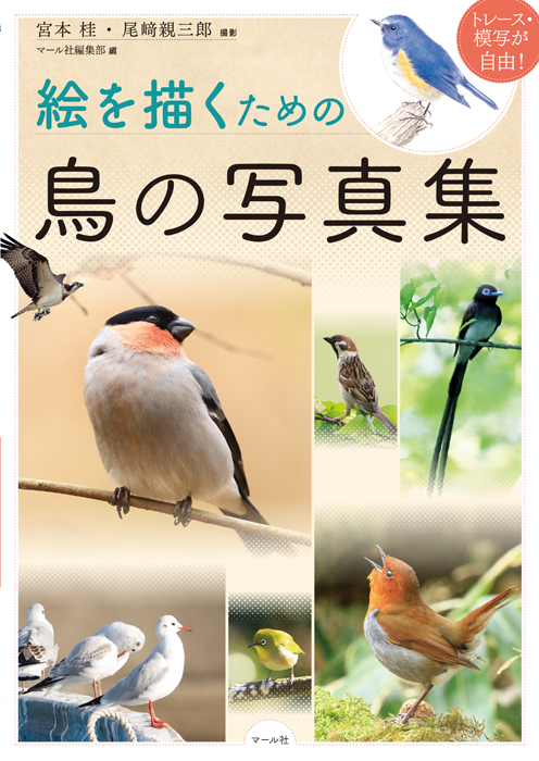 絵を描くための鳥の写真集image